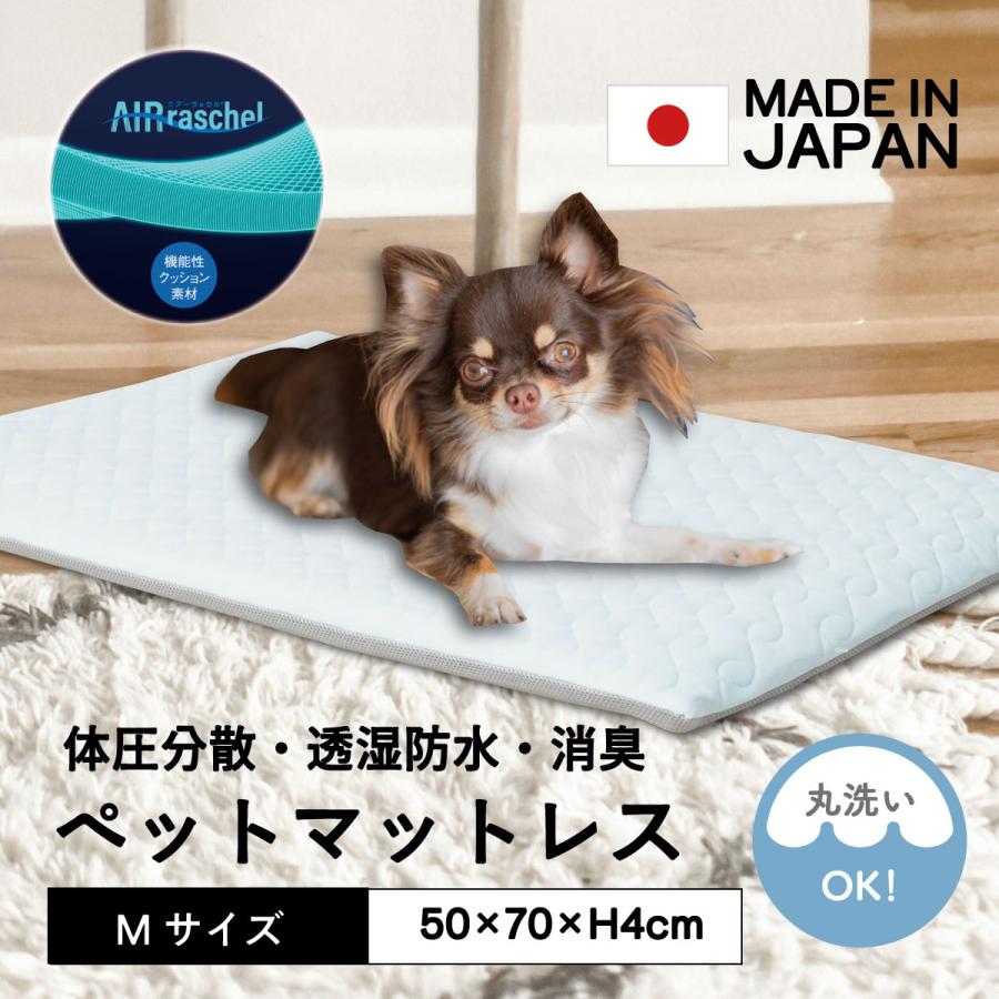 小型犬用・中型犬用　猫　消臭　通気性　防水　マット　透湿防水ペットマットレス　M　約50×70×高さ3cm　オーシン　日本製　送料無料 | 