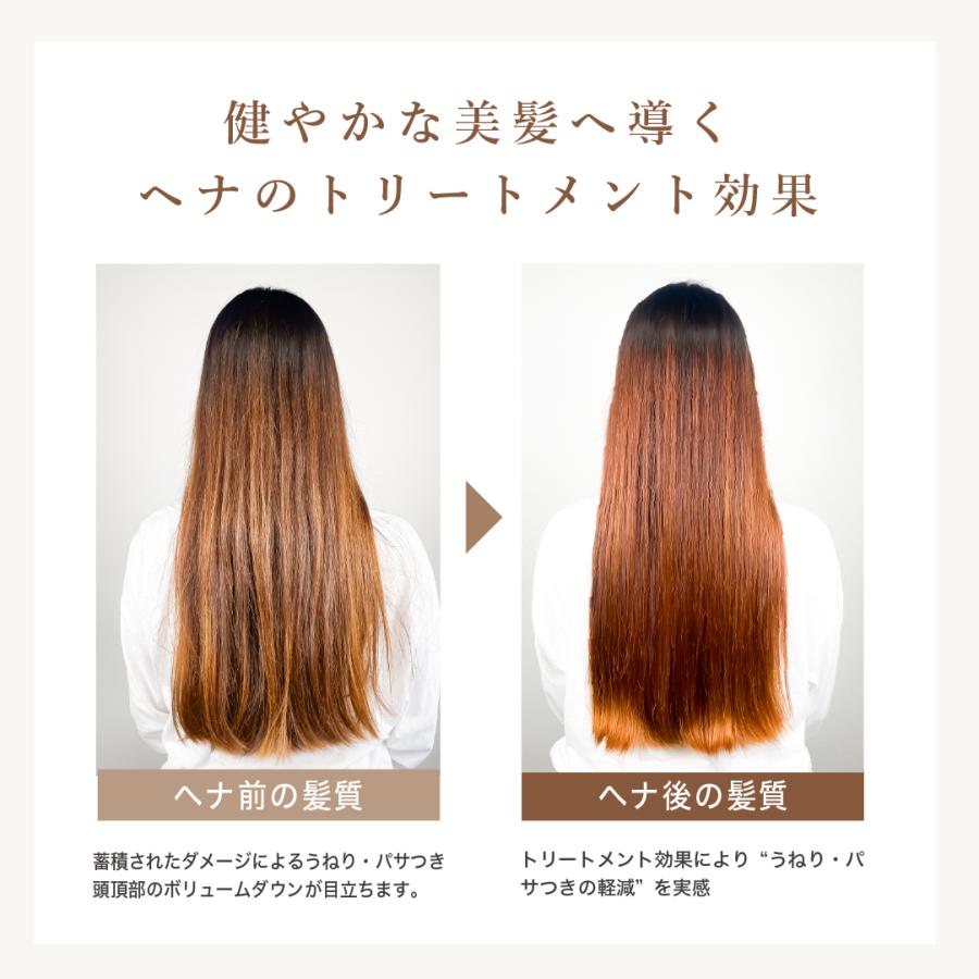 OSI ORGANIC ハラールヘナ HALAL HENNA オーガニックオレンジ 100g/3.6