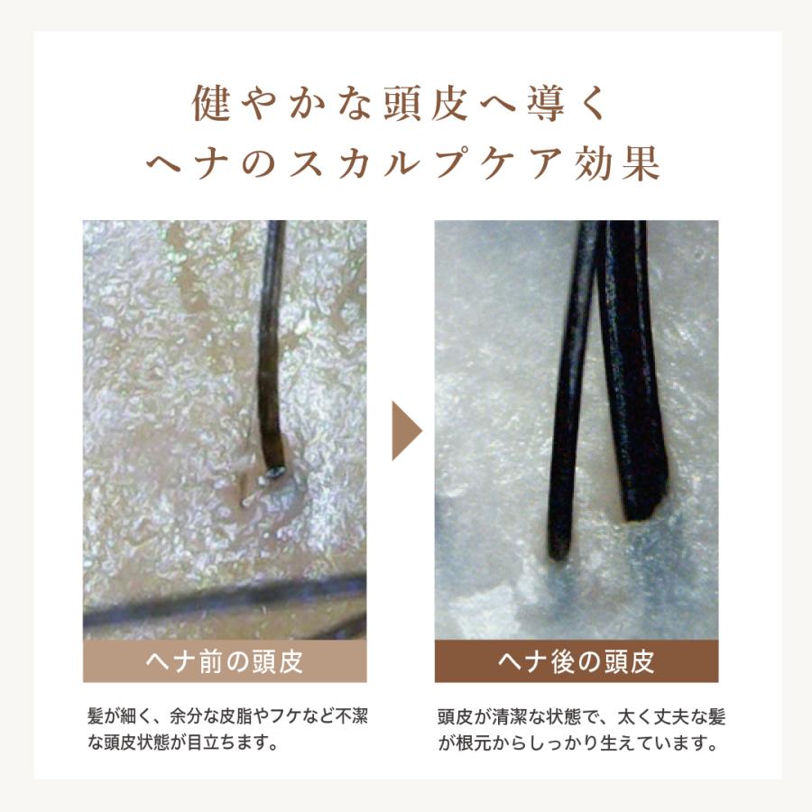 OSI ORGANIC ハラールヘナ HALAL HENNA オーガニックオレンジ 100g/3.6