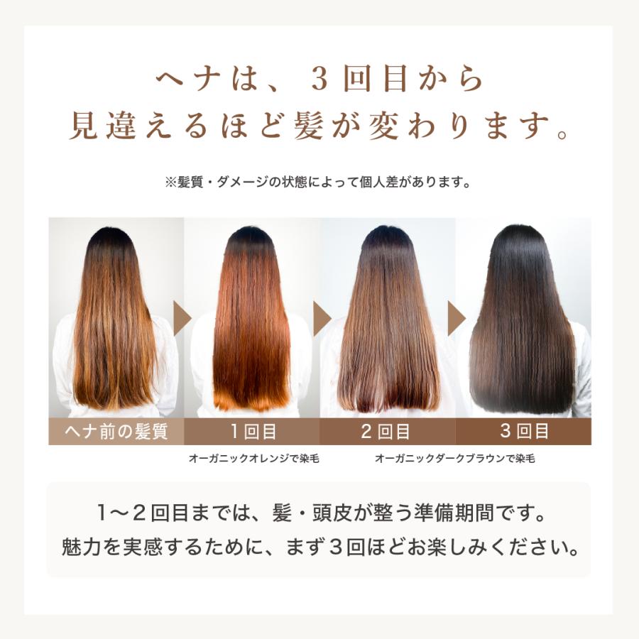 OSI ORGANIC ハラールヘナ HALAL HENNA Plus オーガニックライト