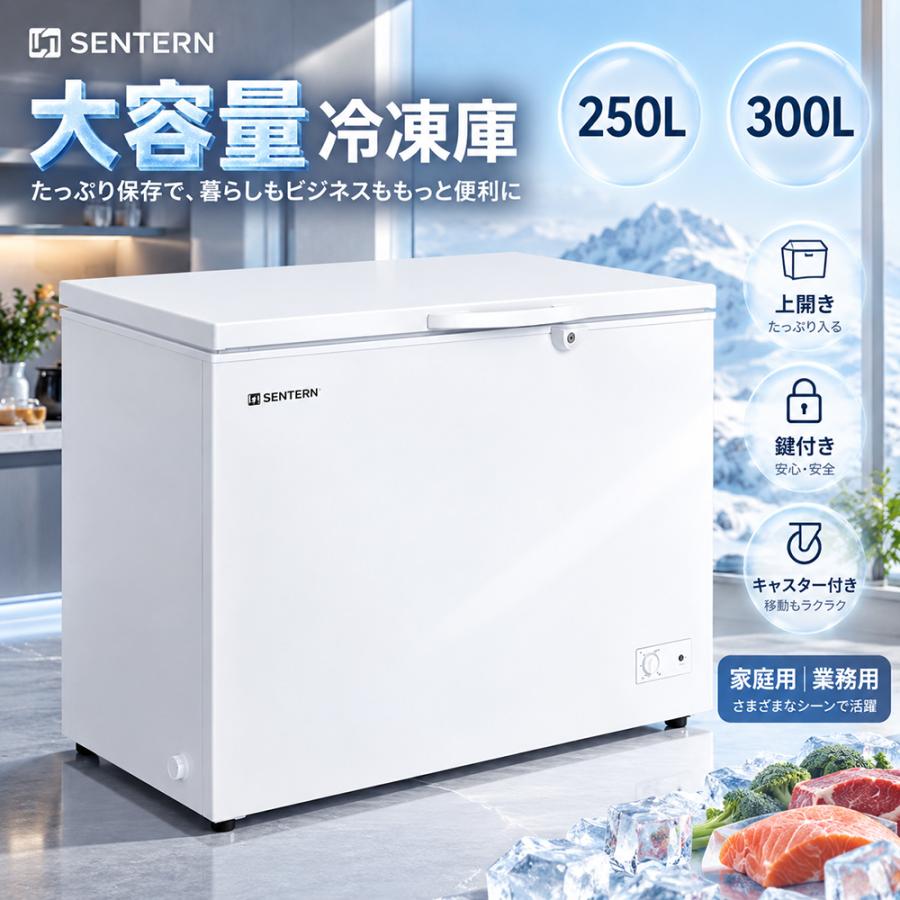 全品5%OFFクーポン配布中！冷凍庫 250L 家庭用 業務用 ノンフロン