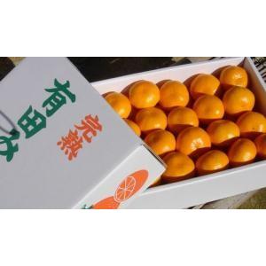こだわり肥料で育てた有田みかん（特選）　約５ｋｇ　【送料無料】