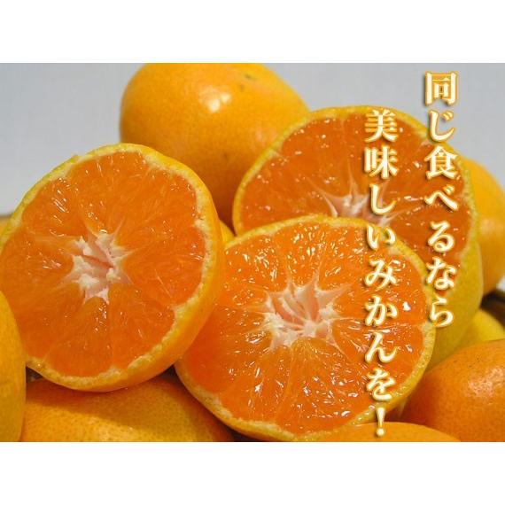 こだわり肥料で育てた有田みかん（小さいサイズ） 5kg【送料無料