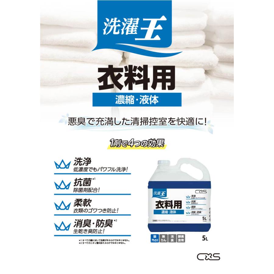 シーバイエス 洗濯王 衣料用 5L |  | 01