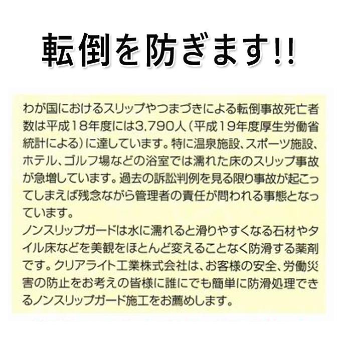 防滑剤  ノンスリップガード  1kg 10kg クリアライト工業 浴室 風呂場 プール 玄関などの滑り止め 転倒防止 |  | 03