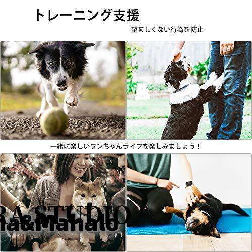 犬 無駄吠え防止 グッズ 超音波吠え防止器具 しつけ むだぼえ禁止 犬の訓練用 3つの調整モード USB充電式 携帯式 夜泣き対策 安全無害 L｜osr-store｜06