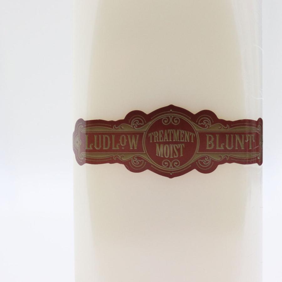 LUDLOW BLUNT (ルドローブラント) Treatment Moist 500ml トリートメント メンズ 詰め替え用 詰替 美容院 洗い流す ヘア ギフト ヘアケア プレゼント | ブランド登録なし | 01