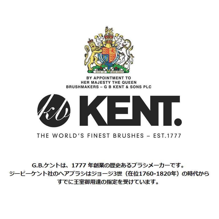 KENT ケント コーム メンズ 粗め 高級 櫛 くし クシ バーバー 美容師 おしゃれ 正規輸入品 20T COMB | KENT | 04
