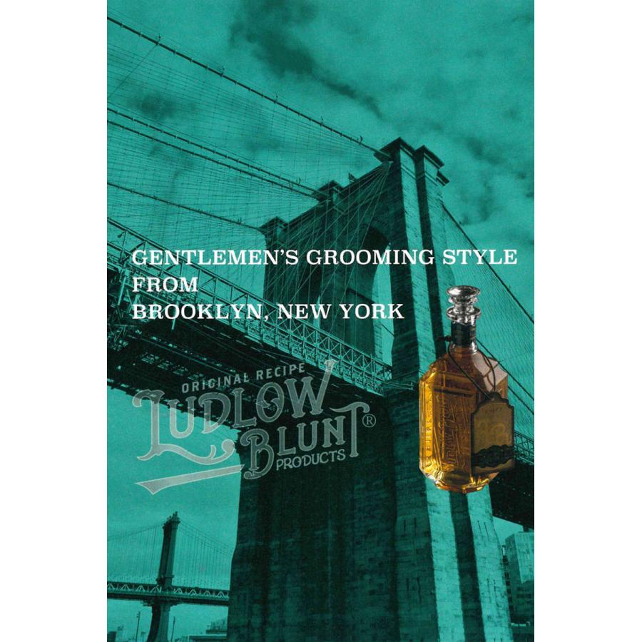 LUDLOW BLUNT ルドローブラント シャンプー メンズ クール トラベル 40ml お試し 旅行 トラベル | ブランド登録なし | 08