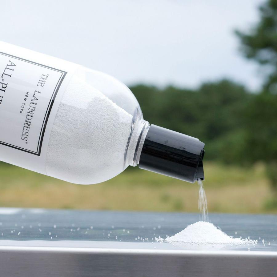 THE LAUNDRESS（ザ・ランドレス） 洗濯洗剤 オールパーパスブリーチ