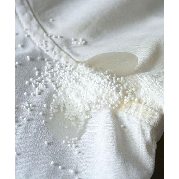 THE LAUNDRESS（ザ・ランドレス） 洗濯洗剤 オールパーパスブリーチ