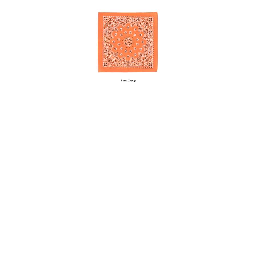 HAV-A-HANK ハバハンク TRADITIONAL PAISLEY BANDANNAS バンダナ ペイズリー柄 usa アメリカ製 黒 55×55 コットン アメカジ ヒップホップ メンズ おしゃれ 首 | HAV-A-HANK | 27