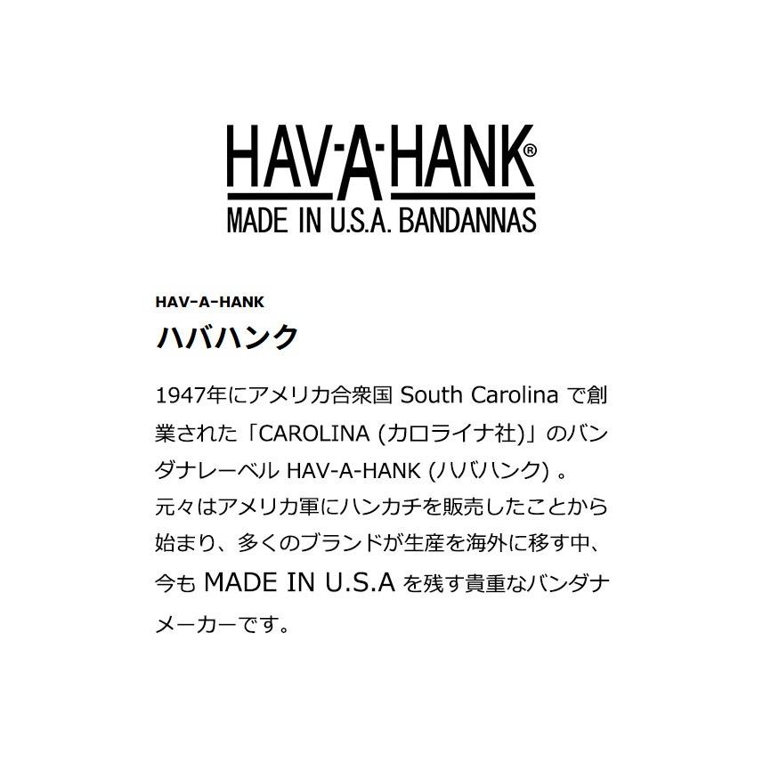 HAV-A-HANK ハバハンク TRADITIONAL PAISLEY BANDANNAS バンダナ ペイズリー柄 usa アメリカ製 黒 55×55 コットン アメカジ ヒップホップ メンズ おしゃれ 首 | HAV-A-HANK | 18