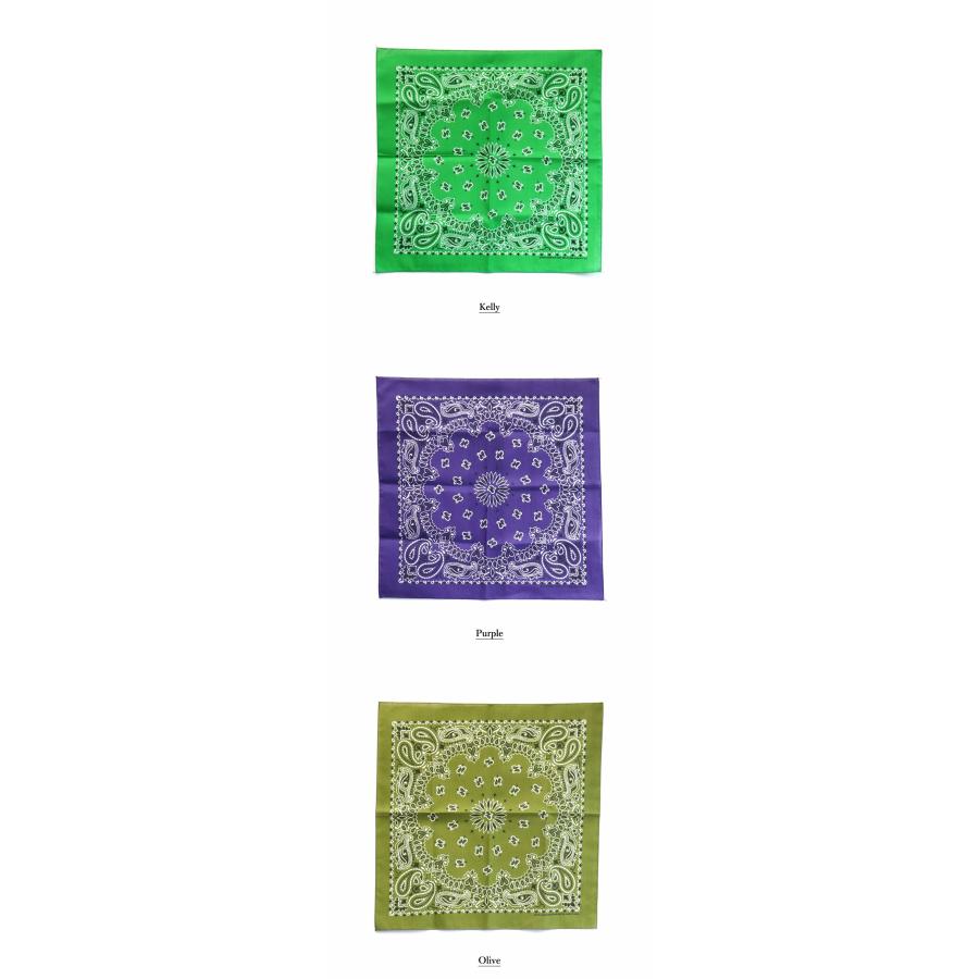 HAV-A-HANK (ハバハンク) TRADITIONAL PAISLEY BANDANNAS バンダナ メンズ おしゃれ 首 ペイズリー柄 usa製 黒 コットン ヒップホップ | HAV-A-HANK | 16
