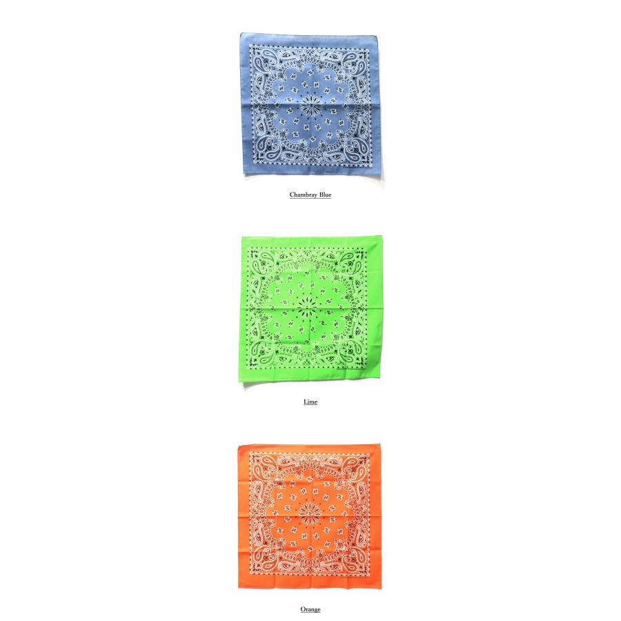 HAV-A-HANK ハバハンク TRADITIONAL PAISLEY BANDANNAS バンダナ ペイズリー柄 usa アメリカ製 黒 55×55 コットン アメカジ ヒップホップ メンズ おしゃれ 首 | HAV-A-HANK | 24