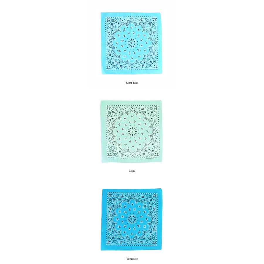 HAV-A-HANK ハバハンク TRADITIONAL PAISLEY BANDANNAS バンダナ ペイズリー柄 usa アメリカ製 黒 55×55 コットン アメカジ ヒップホップ メンズ おしゃれ 首 | HAV-A-HANK | 26