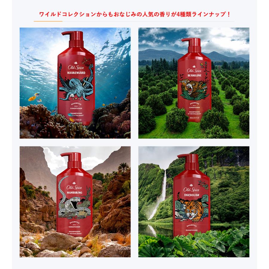 Old Spice OLD SPICE (オールドスパイス) 2 In 1 Shampoo Old Spice OLD SPICE (オールドスパイス) 2 In 1 Shampoo
