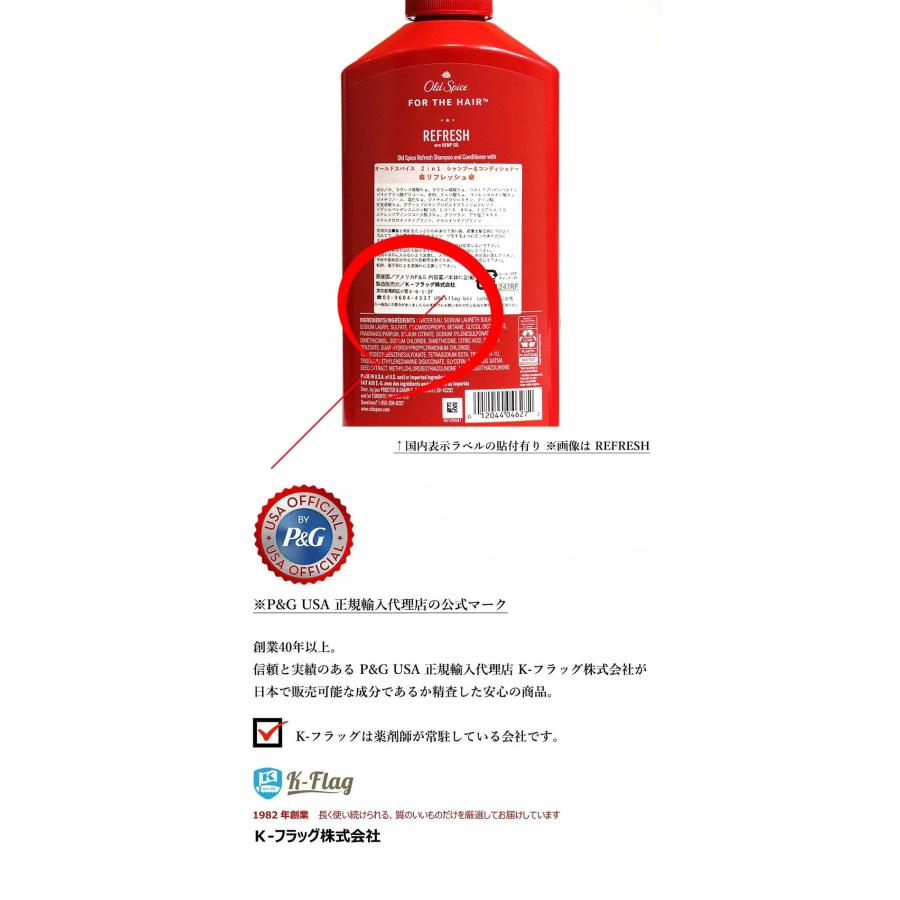 Old Spice（オールドスパイス） 2 In 1 Shampoo & Conditioner 650ml