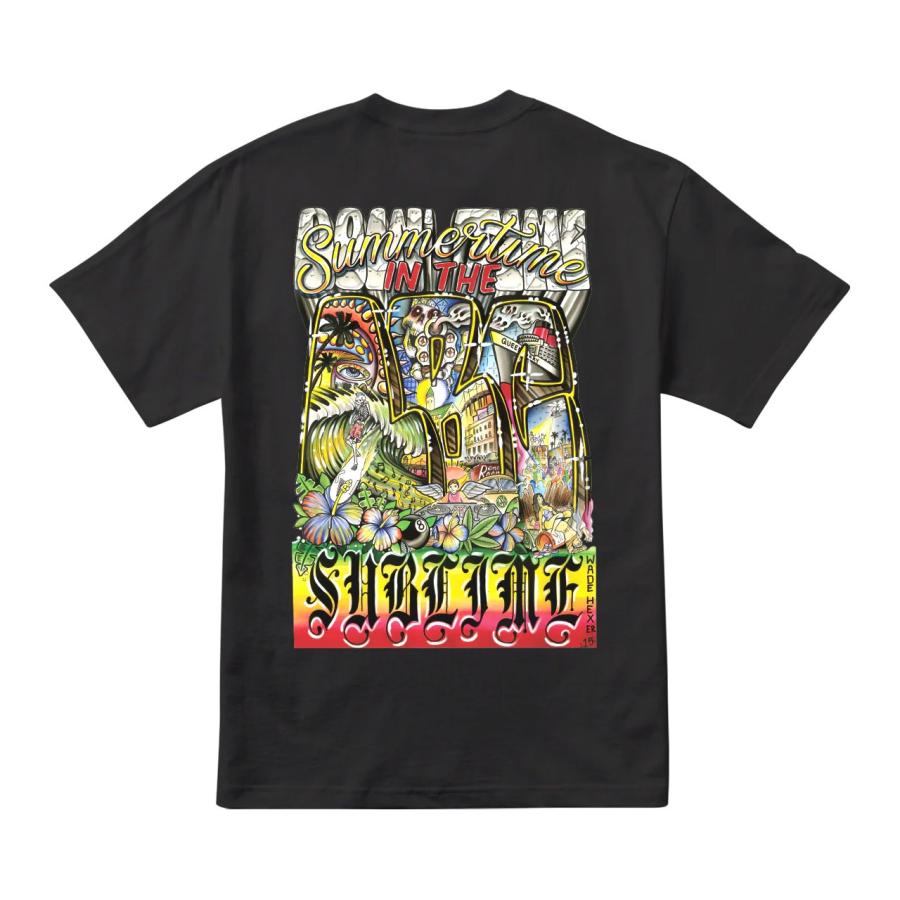 PRIMITIVE × SUBLIME NEIGHBORS BOXY TEE primitive skate プリミティブ Tシャツ tシャツ メンズ 厚手 スケートボード スケボー Sublime サブライム ストリート | PRIMITIVE | 04