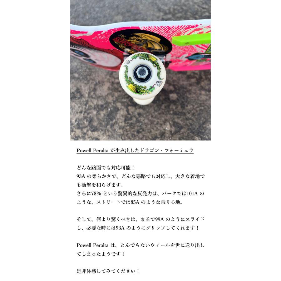 POWELL PERALTA パウエル ペラルタ ウィール 52 54 55 56 58 60 POWELL PERALTA パウエル ペラルタ ウィール 52 54 55 56 58 60