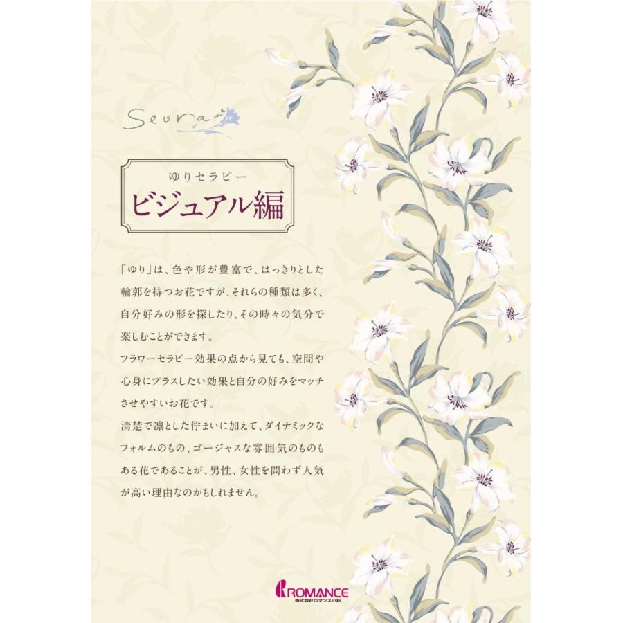 ロマンス小杉 レディースパジャマ Seora セオラ 高級 おしゃれ 上品 デザイン 快適 心地良い Rm6677 6902 オッシャれな枕と寝具のお店ossya 通販 Yahoo ショッピング