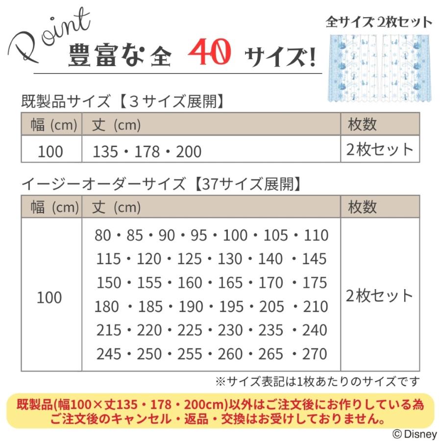 Disney（ディズニー） アナと雪の女王 選べる 40サイズ 遮光 2級 遮熱