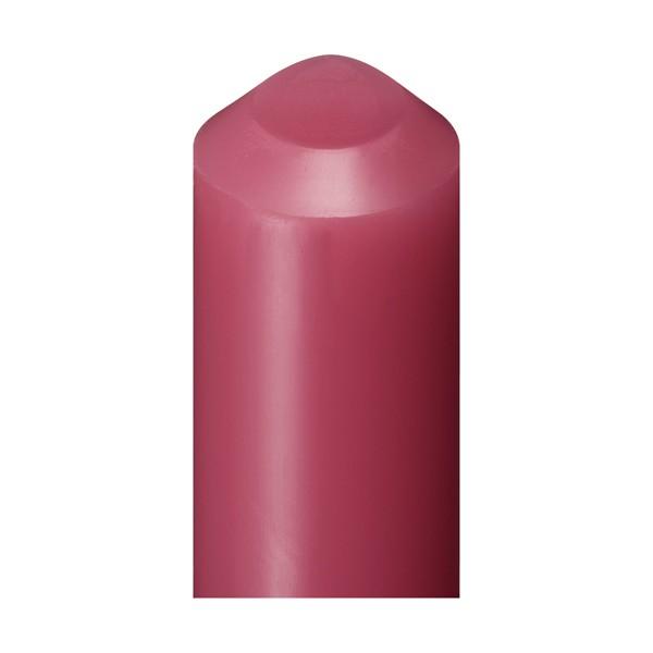 SHISEIDO 資生堂 プリオール 美リフト リップCC n ベリー