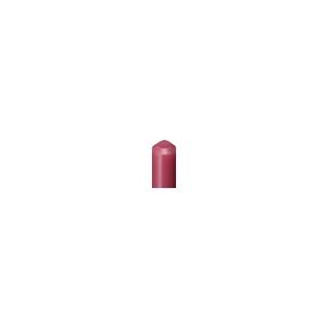 SHISEIDO 資生堂 プリオール 美リフト リップCC n ベリー