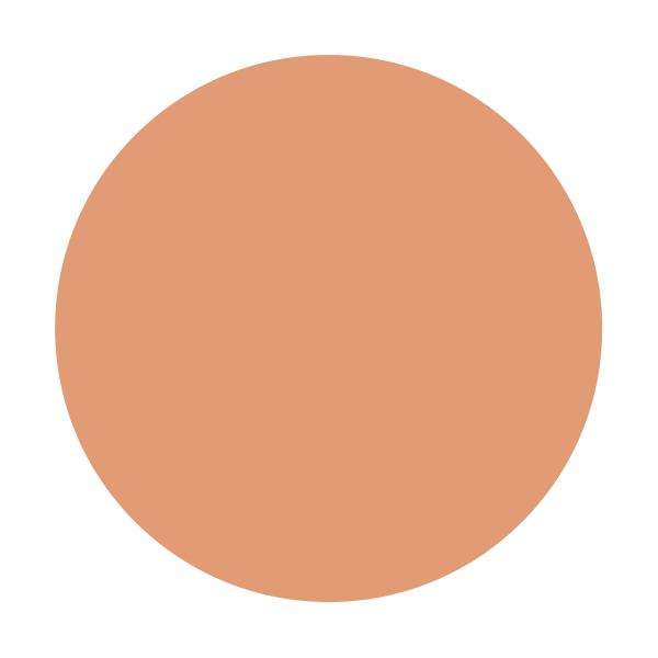 SHISEIDO（資生堂） パーフェクトカバー ファンデーション MC