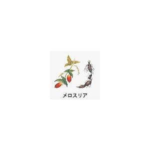 KOSE コーセー 薬用 雪肌精 ローション エクセレント 200mL