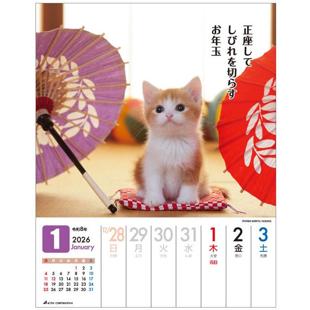 カレンダー 2026 卓上 壁掛け 猫 2026年 令和8年 だってネコだもの 週