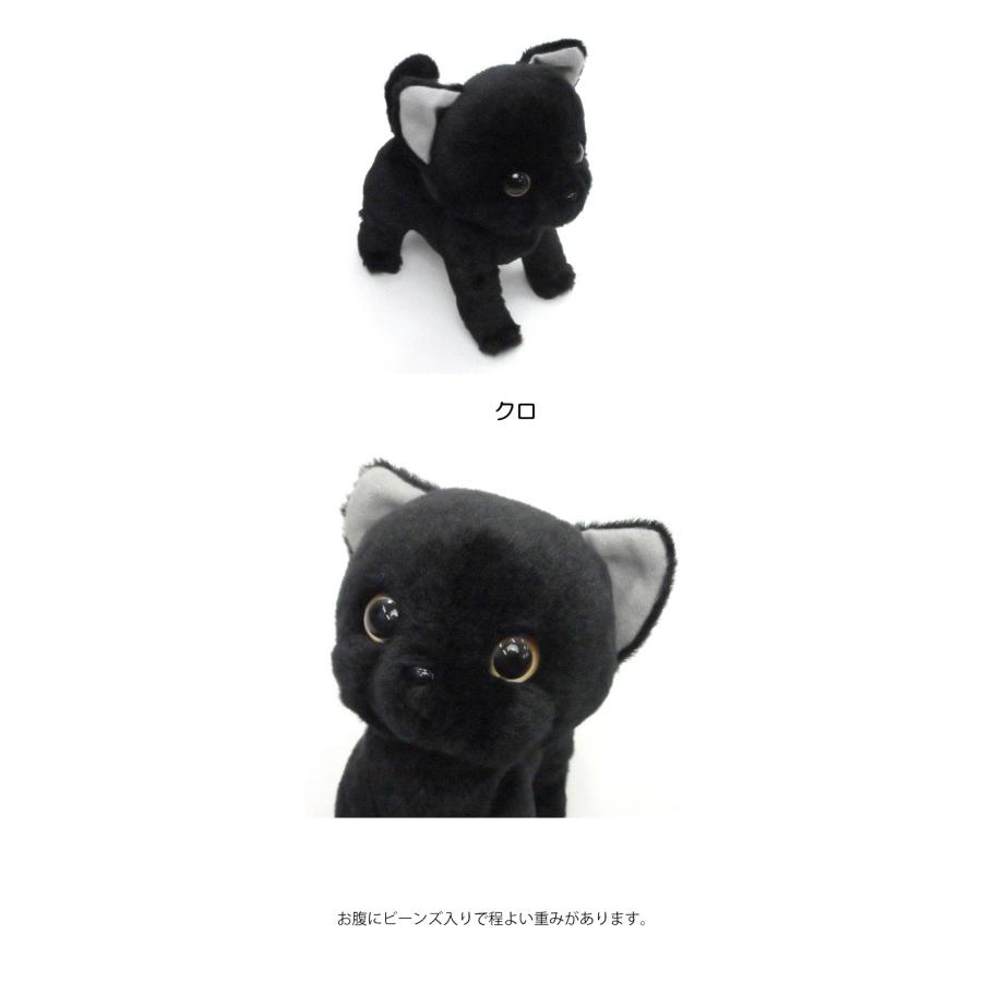 ぬいぐるみ 猫 いっしょがいいね 渡辺あきお ビーンズ ぬいぐるみ 猫 いっしょがいいね 渡辺あきお ビーンズ