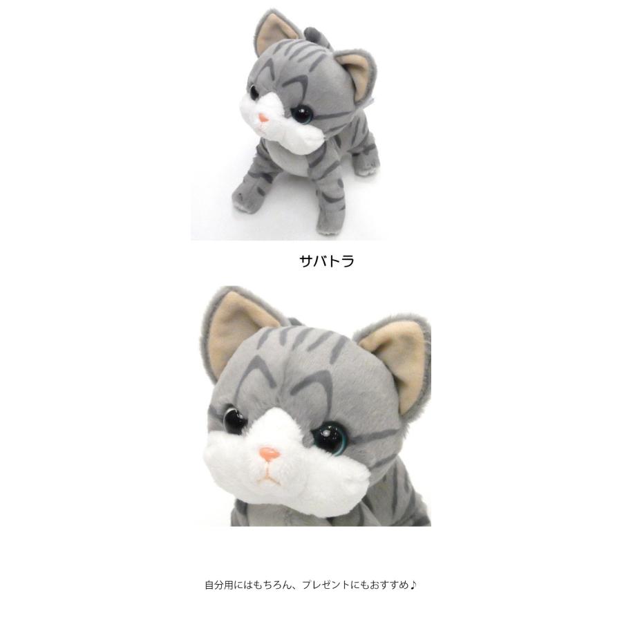 Plastic Tree 猫印 グッズ セット まとめ売り ピュアサウンド / sp_アーティスト_取扱商品_詳細表示