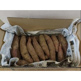 【今だけ送料無料】農薬不使用・無肥料・無農薬・自然栽培　茨城県産　さつまいも　紅はるか　およそ５kg |  | 03