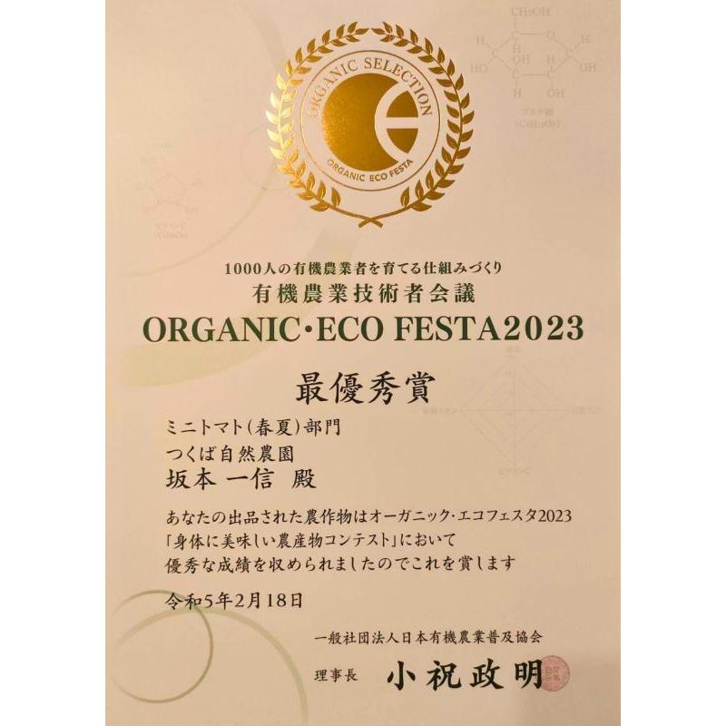 【今だけ送料無料】オーガニックエコフェスタ最優秀賞受賞トマト・無農薬・無肥料、ミニトマト・ロッソナポリタン・1kg、有機、お中元 |  | 02