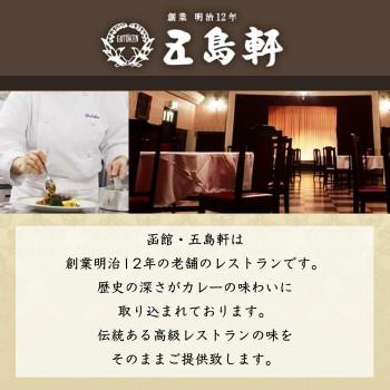 五島軒 五島軒ビーフカレー 210g ×48食セット 五島軒 小麦粉 カレー粉