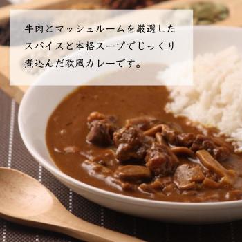 五島軒 五島軒ビーフカレー 210g ×48食セット 五島軒 小麦粉 カレー粉