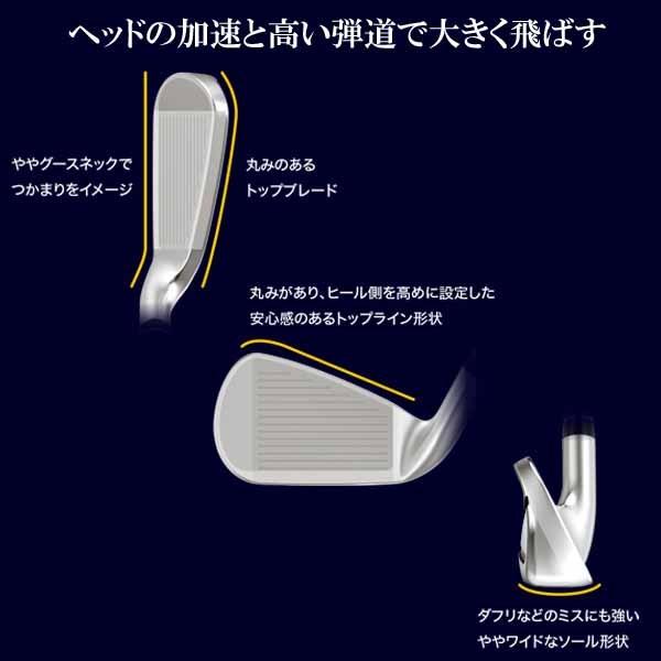 XXIO ダンロップ XXIO12 アイアン 5本セット（＃6〜9、PW） MP1200