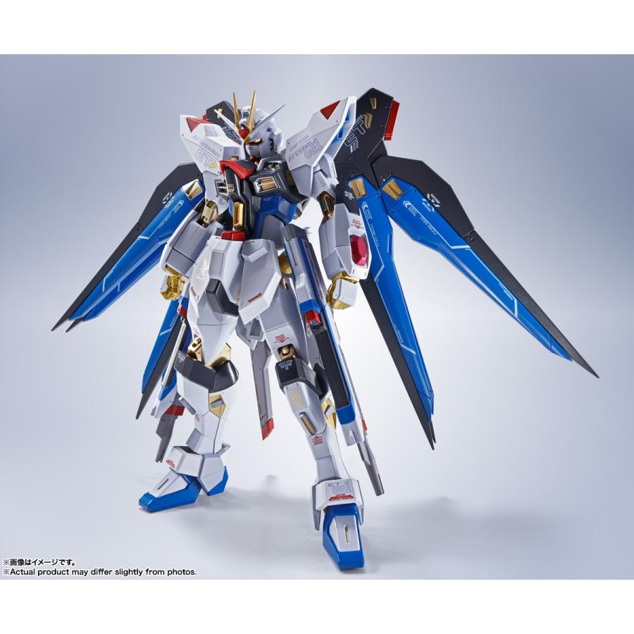 専用出品　ストライクフリーダムパラレル バンダイ METAL ROBOT魂 (SIDE MS) ストライクフリーダムガンダム [Re