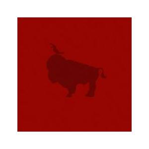 ケース無::スキマスイッチ ARENA TOUR ’07 W-ARENA 通常盤 2CD レンタル落ち 中古 CD