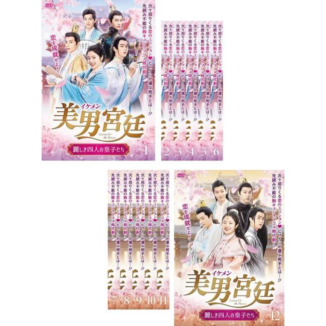 [531191]美男 イケメン 宮廷 麗しき四人の皇子たち(12枚セット)第1話〜第24話 最終 字幕のみ【全巻セット 洋画 中古 DVD】ケース無:: レンタル落ち 美男 イケメン 宮廷 麗しき四人の皇子たち 全12枚 第1話〜第24話 最終