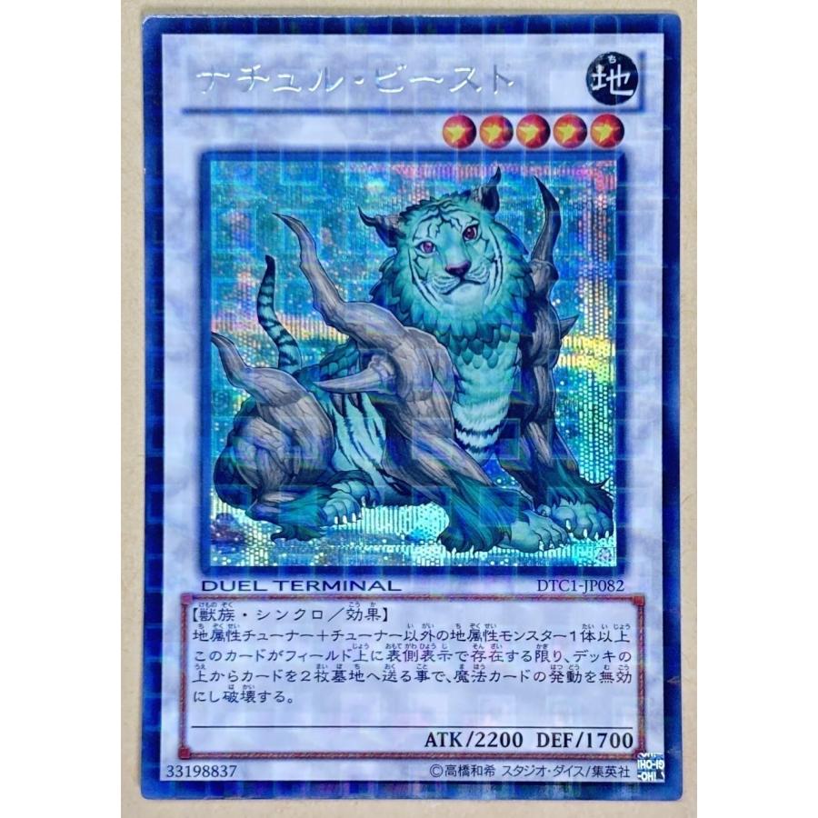 trc-100607] 【中古】 遊戯王OCG デュエルモンスターズ ナチュル