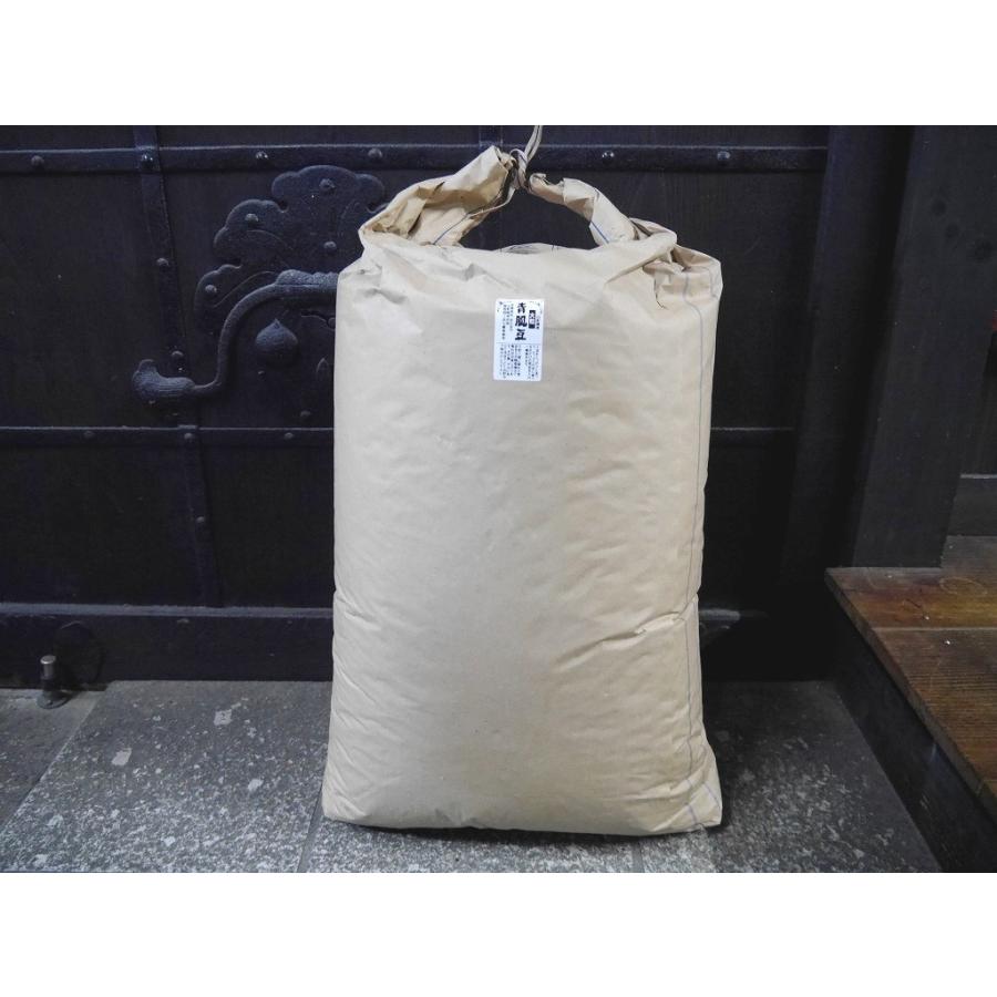 青肌豆 大粒（30kg）青大豆