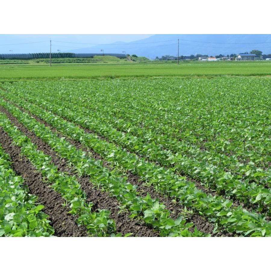 26【新品未使用】 青肌豆 大粒（30kg）青大豆 【2259272949】(12960円)