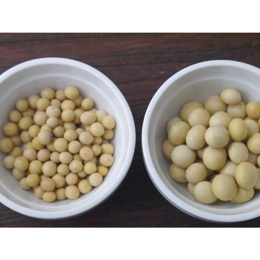 無農薬 有機肥料 すずかおり 極小大豆（30kg） 無農薬 極小大豆
