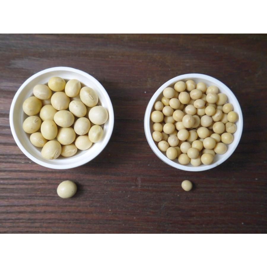 無農薬 有機肥料 すずかおり 極小大豆（30kg） 無農薬 極小大豆
