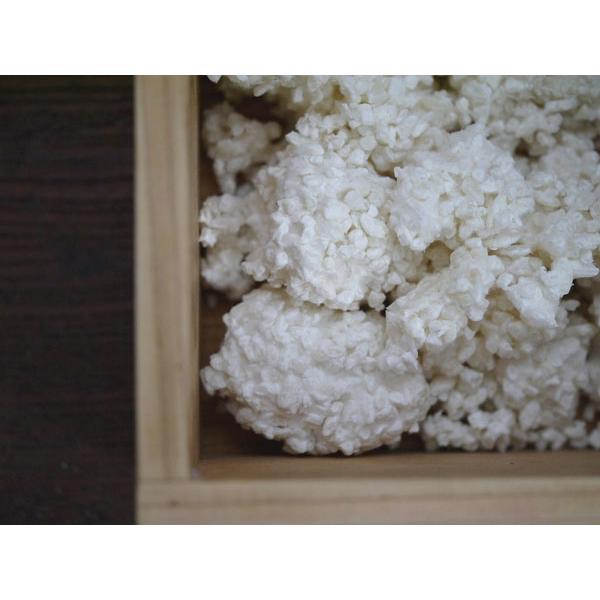 手作り味噌セット 2倍麹 4ヶ月発酵 食塩1.1kg 置くだけMJ2 発酵 手作り味噌セット 2倍麹 4ヶ月発酵 食塩1.1kg 置くだけMJ2 発酵
