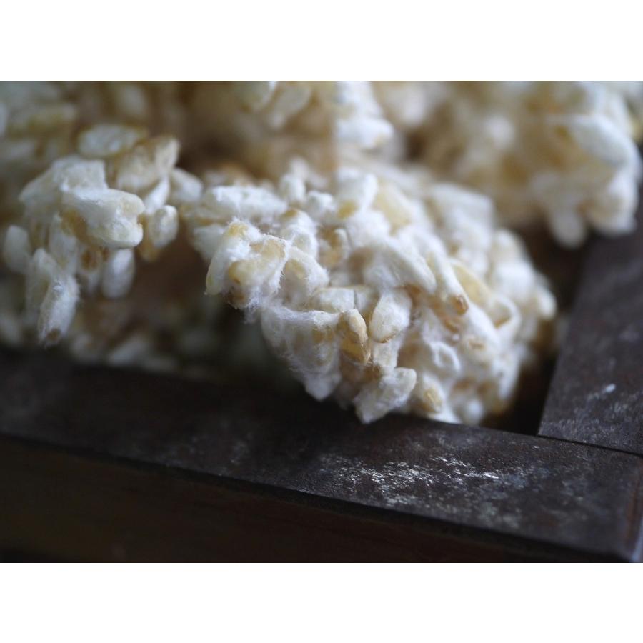 玄米麹 生麹（5kg） : おたまやヤフーショップ - 通販 - Yahoo