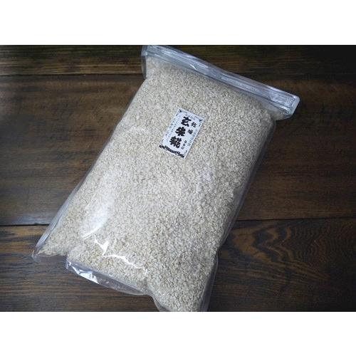 乾燥玄米麹 乾燥麹 豊富な品 売り出し 2kg