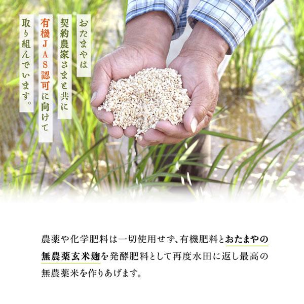 無農薬 有機肥料 玄米麹 生麹（5kg）｜otamaya2002｜09